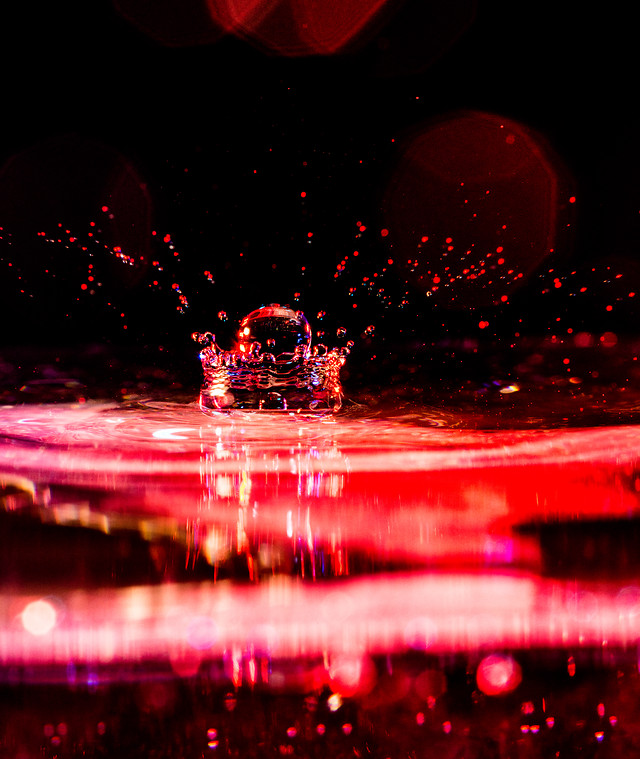 christmas-red-reflection-water-city 图片素材