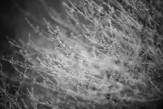 nature-abstract-no-person-texture-black 图片素材