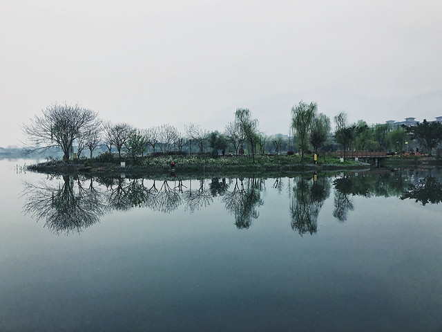 tree-water-reflection-lake-no-person 图片素材