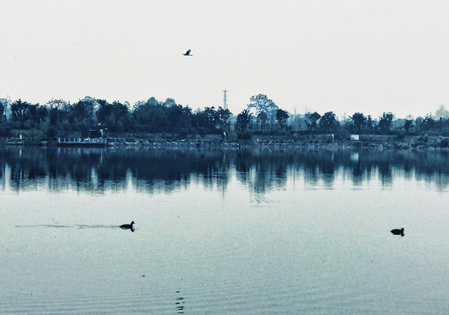 water-lake-reflection-river-landscape picture material