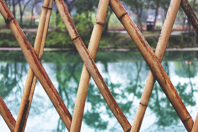 wood-no-person-fence-expression-bamboo 图片素材