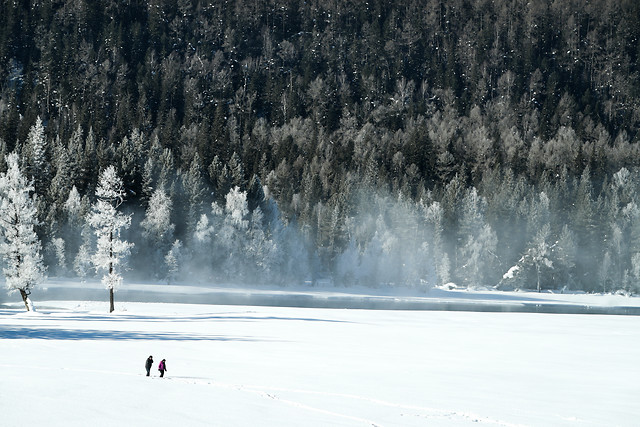 snow-winter-cold-no-person-ice picture material