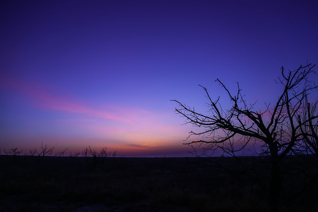 sunset-silhouette-dawn-landscape-evening picture material