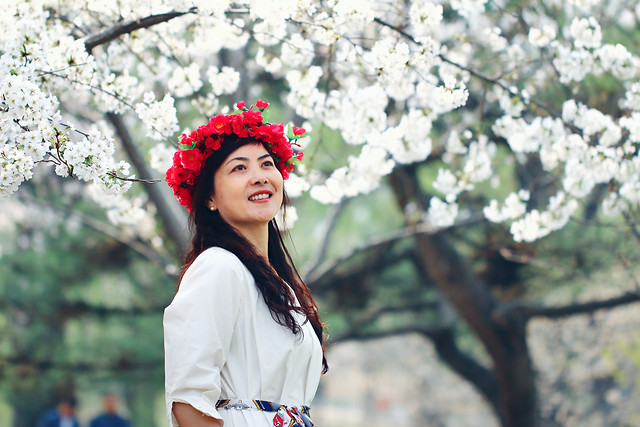 flower-nature-tree-cherry-girl 图片素材