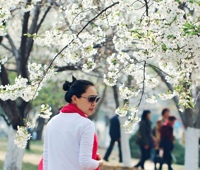 flower-girl-cherry-tree-park 图片素材