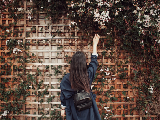 people-street-adult-urban-city 图片素材