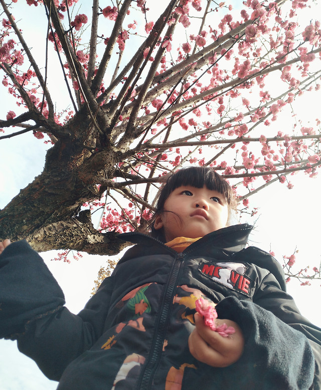 winter-child-people-snow-cold 图片素材