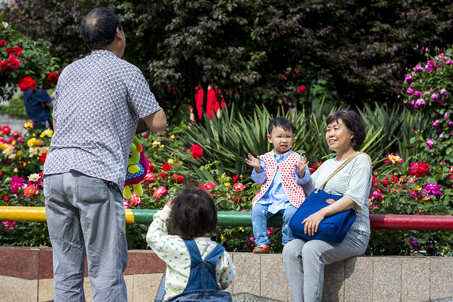 child-flower-outdoors-people-plant 图片素材