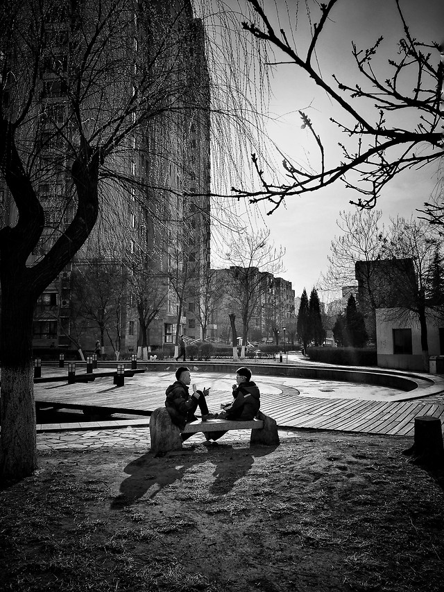 people-monochrome-street-tree-black-and-white 图片素材