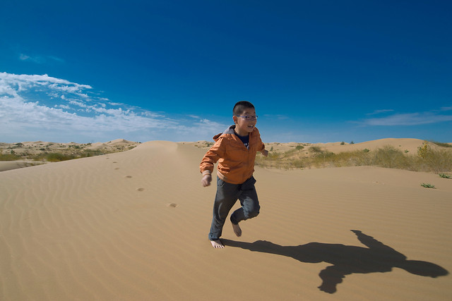 sand-beach-desert-seashore-dune 图片素材