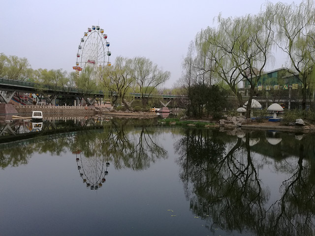 water-river-lake-reflection-tree 图片素材