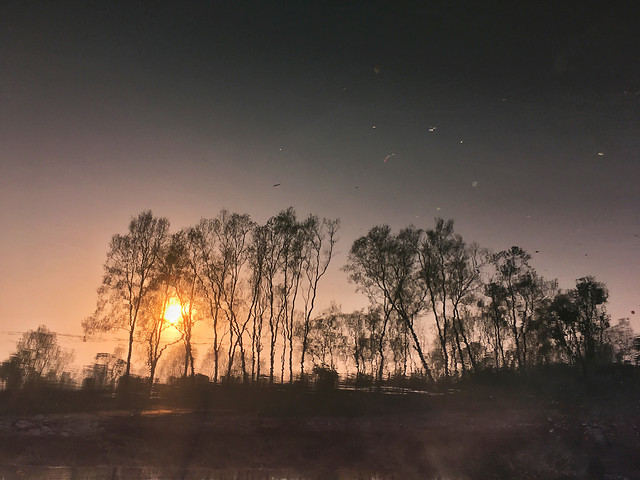 sunset-landscape-dawn-tree-silhouette picture material