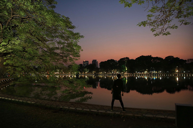 tree-dawn-reflection-landscape-evening picture material