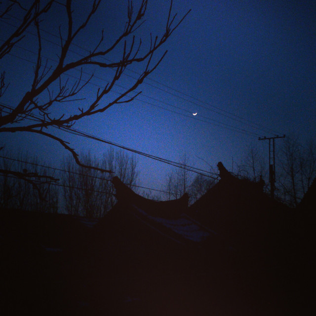 sky-tree-light-dusk-evening 图片素材