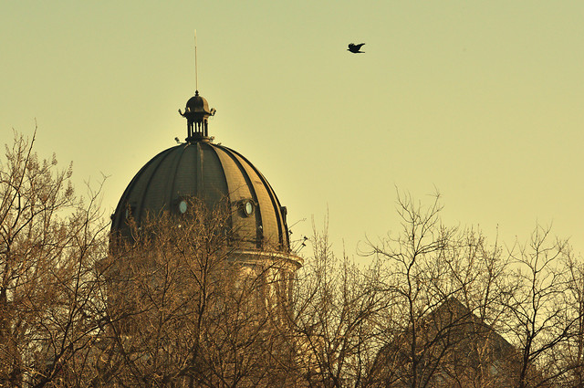 no-person-sky-tree-winter-landscape 图片素材