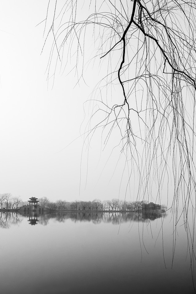 reflection-water-landscape-black-white-tree 图片素材