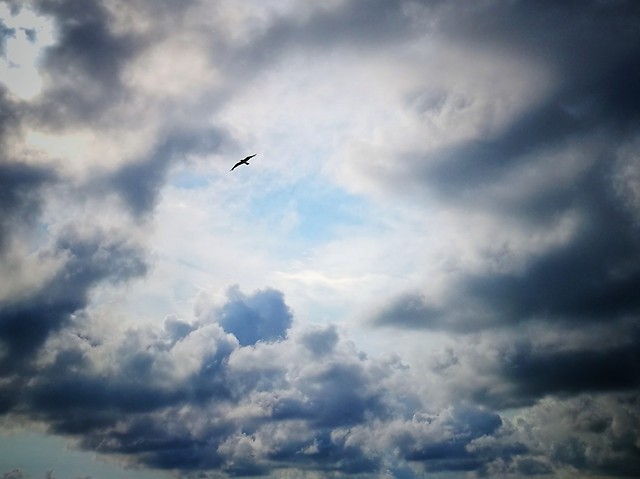 sky-no-person-outdoors-cloud-sunset picture material