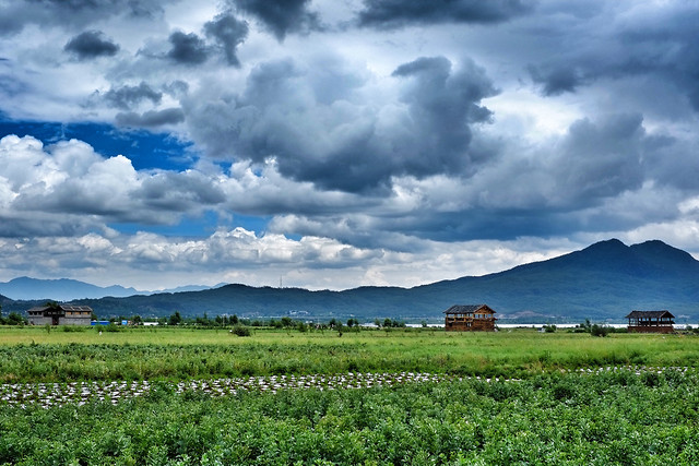 no-person-agriculture-nature-rural-sky 图片素材