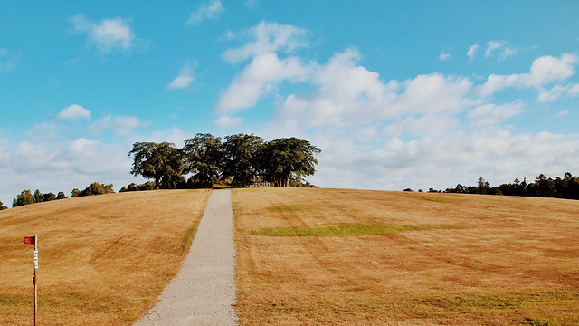 landscape-sky-no-person-agriculture-field picture material