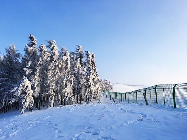 snow-winter-cold-ice-frost 图片素材