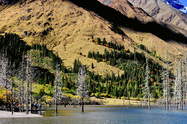 landscape-nature-water-lake-mountain 图片素材