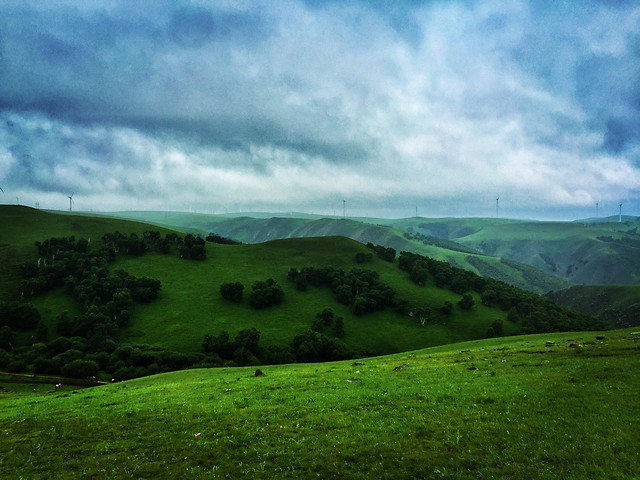 landscape-hill-nature-grassland-grass picture material