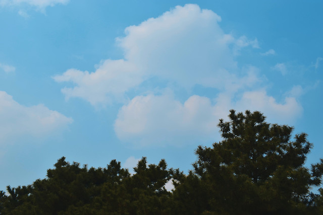 landscape-sky-nature-cloud-light 图片素材