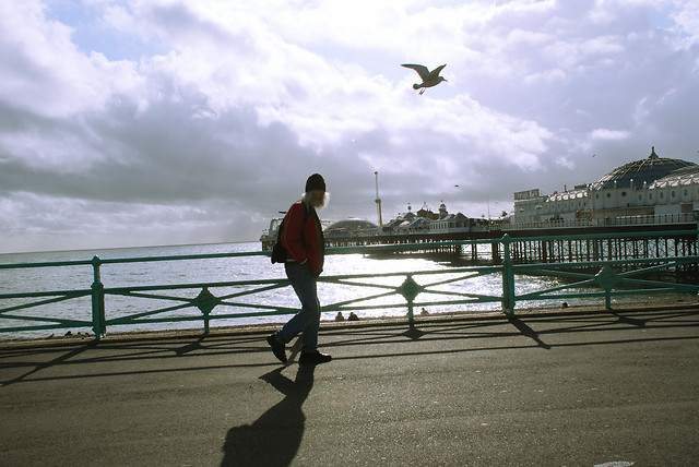 water-sea-pier-beach-ocean picture material
