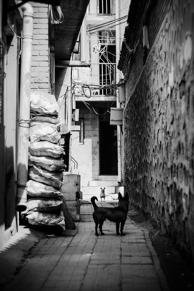 street-people-monochrome-no-person-alley 图片素材
