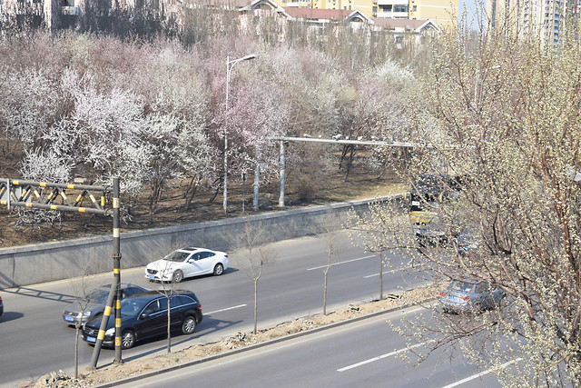 winter-snow-road-cold-weather picture material