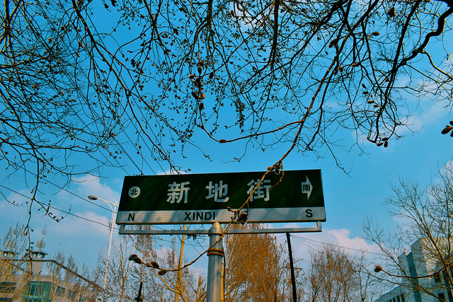 no-person-road-tree-sky-outdoors picture material