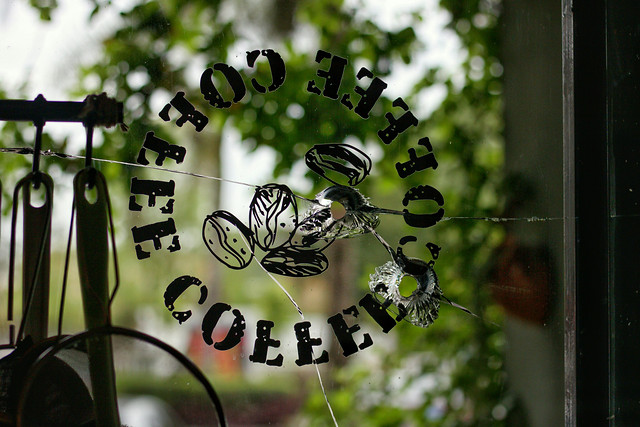 nature-garden-green-desktop-insect 图片素材