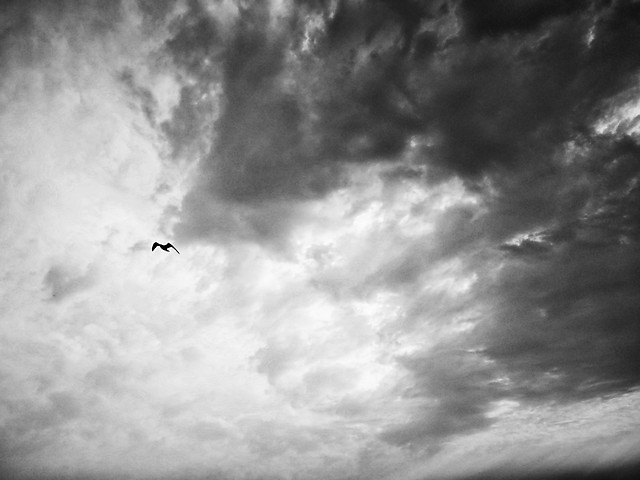 sky-cloud-no-person-storm-landscape picture material