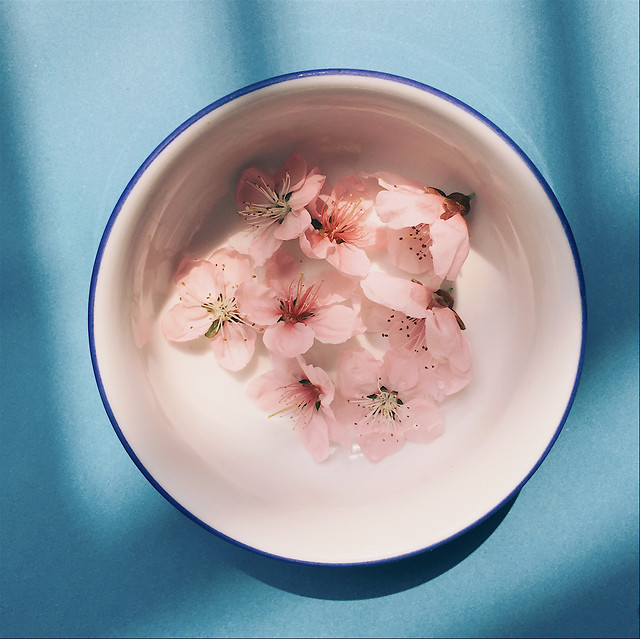 no-person-food-cream-pink-bowl 图片素材