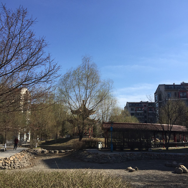 no-person-tree-home-house-building picture material