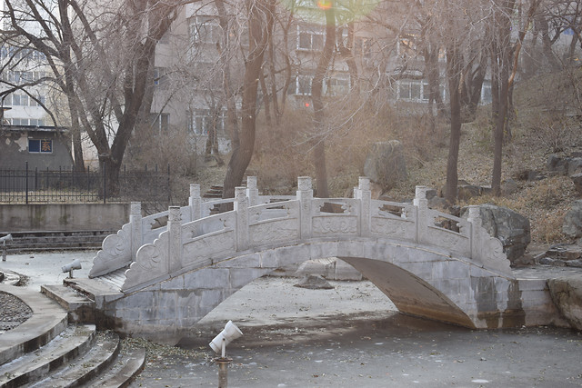 winter-snow-cold-frost-ice picture material