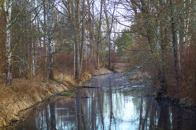 wood-landscape-no-person-fall-tree picture material