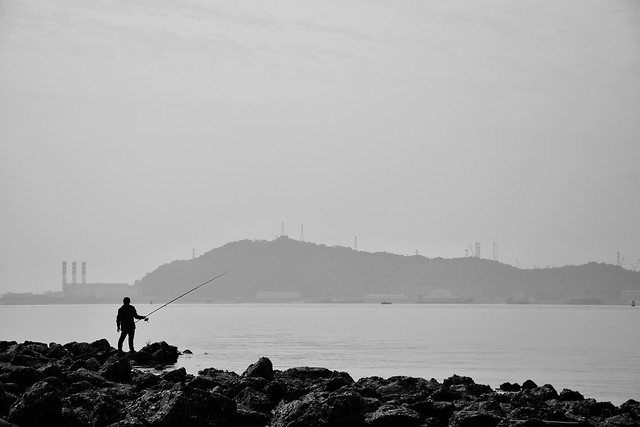 water-landscape-fisherman-fog-beach picture material
