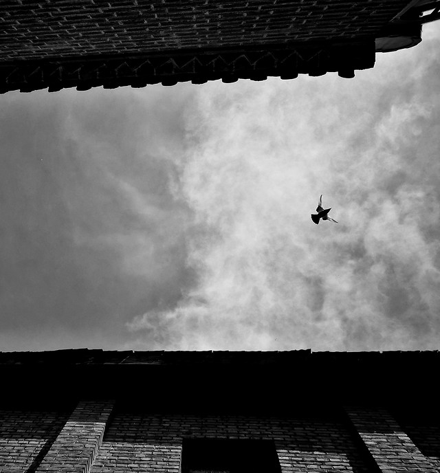 monochrome-people-sky-smoke-street picture material