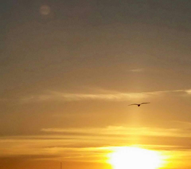 sunset-sun-dawn-sky-evening picture material