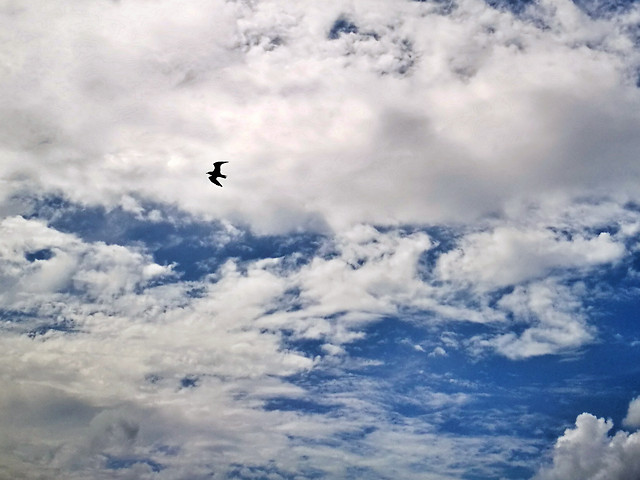 no-person-sky-outdoors-cloud-sunset picture material
