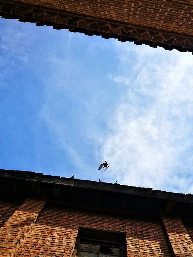 roof-sky-building-architecture-city 图片素材