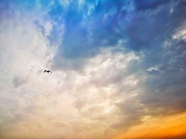 sky-sunset-landscape-sun-cloud picture material