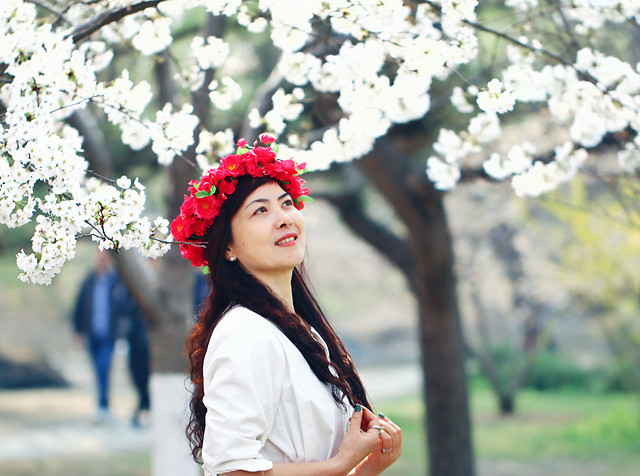 nature-flower-woman-outdoors-girl picture material