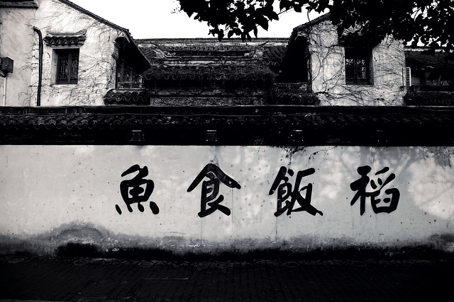 no-person-black-white-outdoors-monochrome-street 图片素材