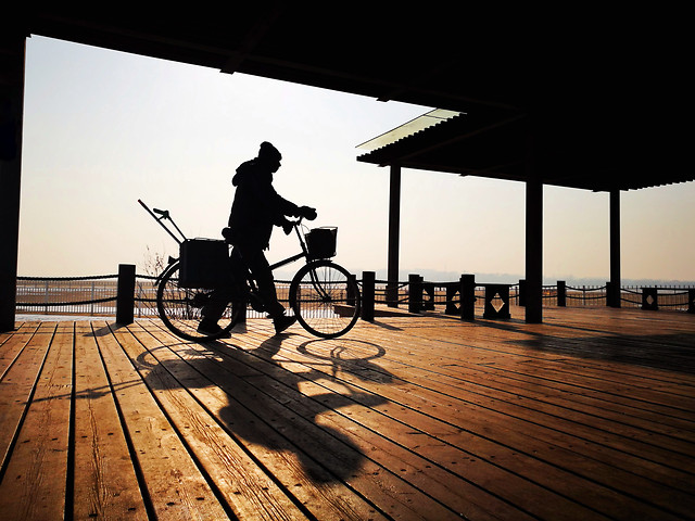 people-silhouette-sunset-beach-wood 图片素材