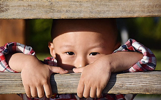 child-wood-portrait-people-girl picture material