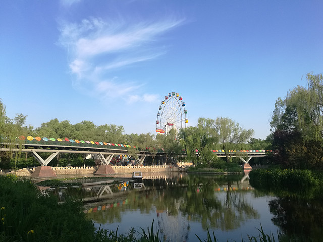 water-river-sky-tree-summer picture material