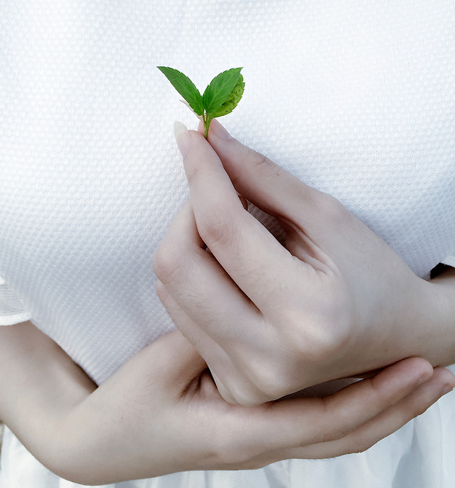 hand-woman-nude-skin-leaf picture material