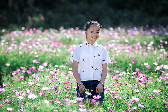 flower-summer-outdoors-nature-grass 图片素材